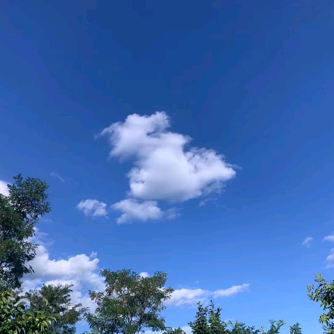 芳姐丶