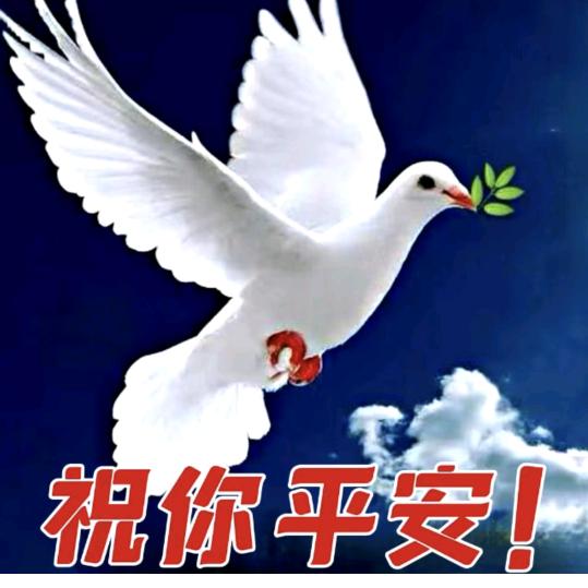 精选品味