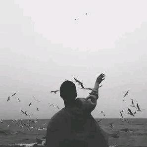 顺其，自然 ⊙ω⊙