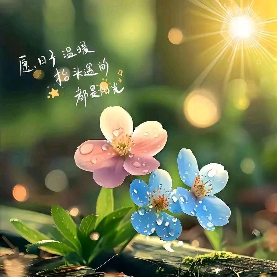 caomei