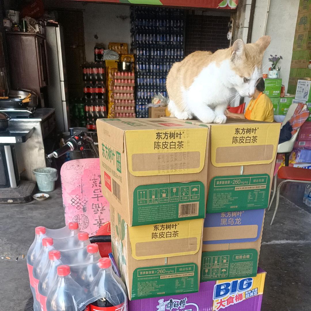 饮料批发的阿刚