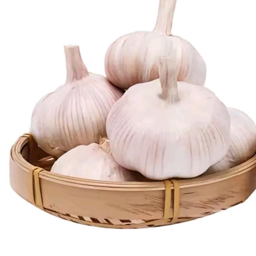 先利达祥符小宋