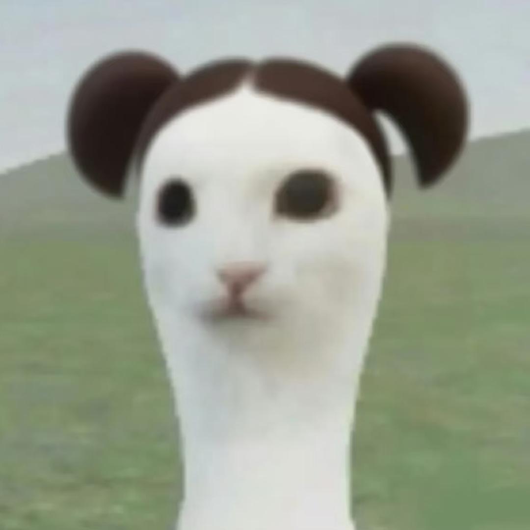 勇敢小羊🐏