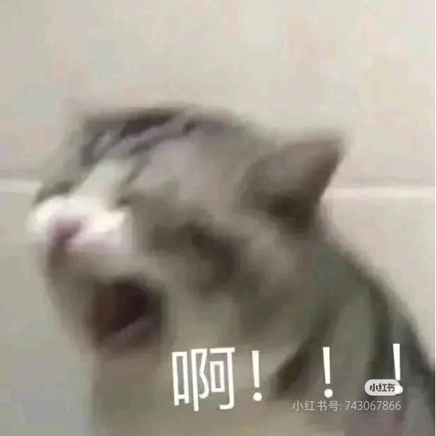 哇呀呀呀呀呀呀