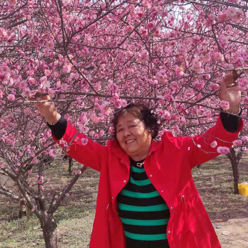 用户4079738257625妙杰