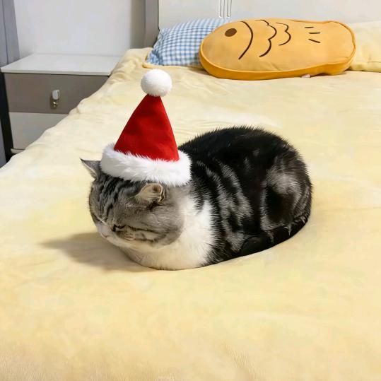 蛋挞大王
