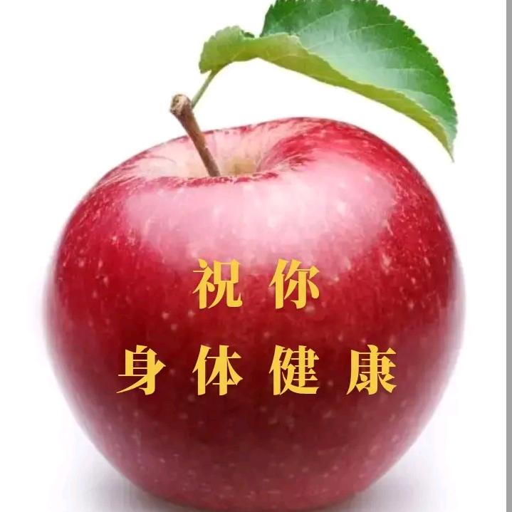飞龙🐉🐉🐉🐉🐉🐉