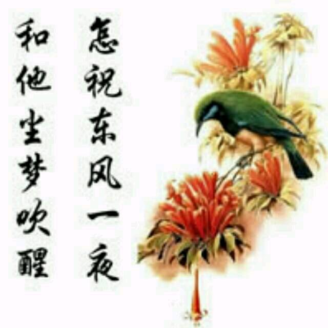 《ꦿ 相遇এ⁵²º᭄এ》