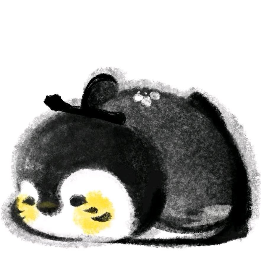 小鱼睡不醒