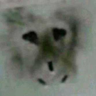 我是前和平精英大王（已退游）