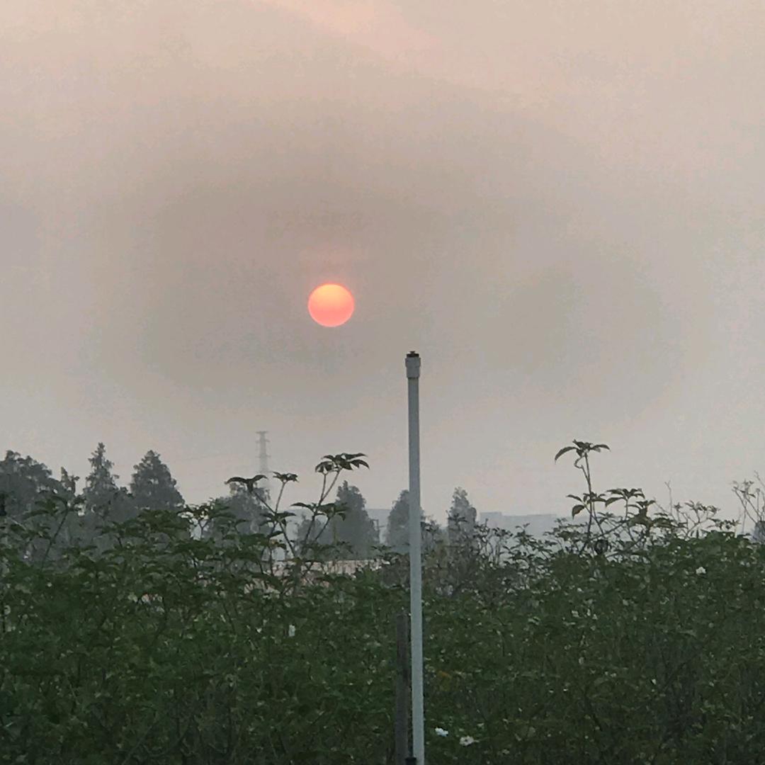 藕买瓜