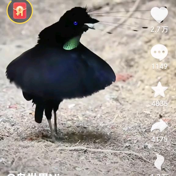 ℒøṽℯ丽ꦿ໌້࿐໌🌙