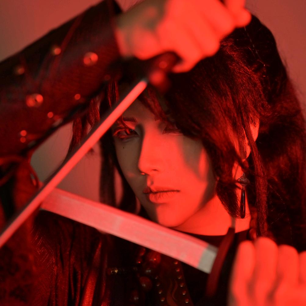 梅华陆❀（燕云十六声）