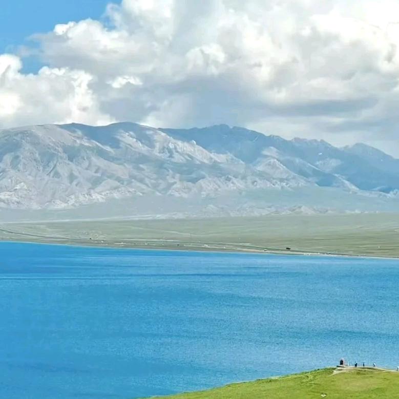 佳欣艺景-小璐直播号