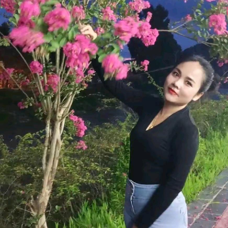 心若向你