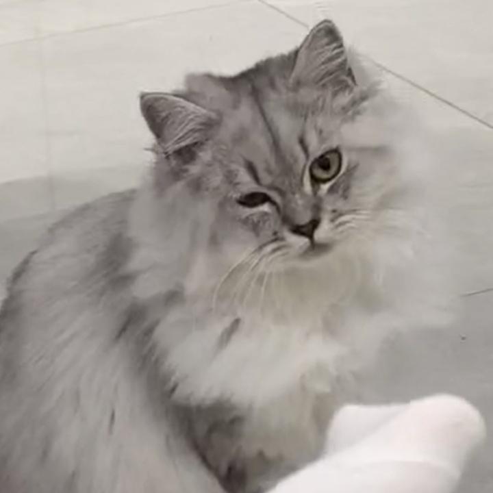 妍妍💕