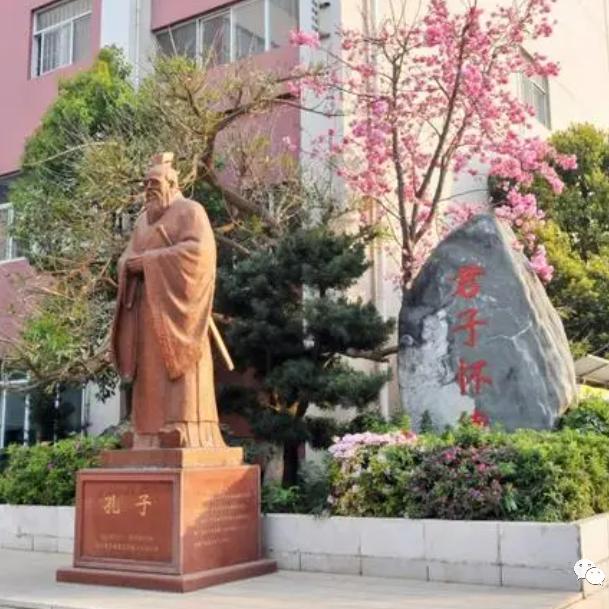 昭通 教育 咨询