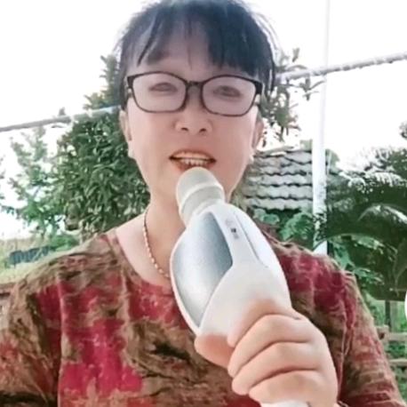 凤姐的歌之梦