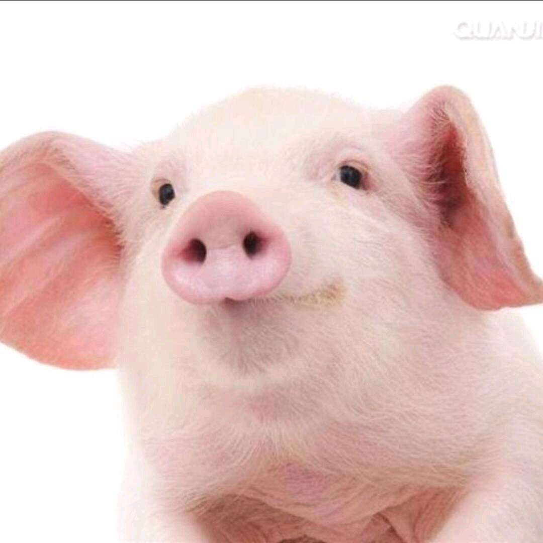 过往云烟