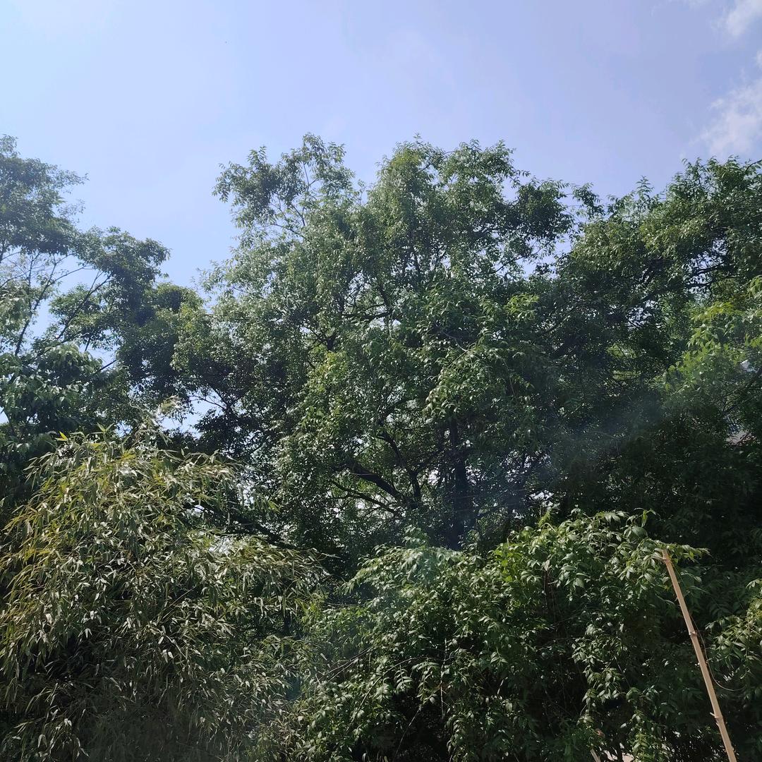 昆明众乐禄二手车销售有限公司