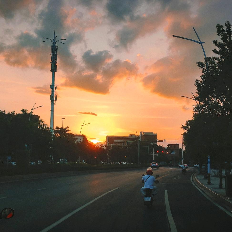 多鱼不多余