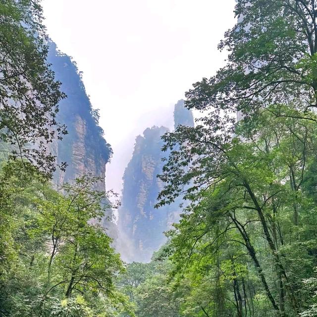 One heart.
