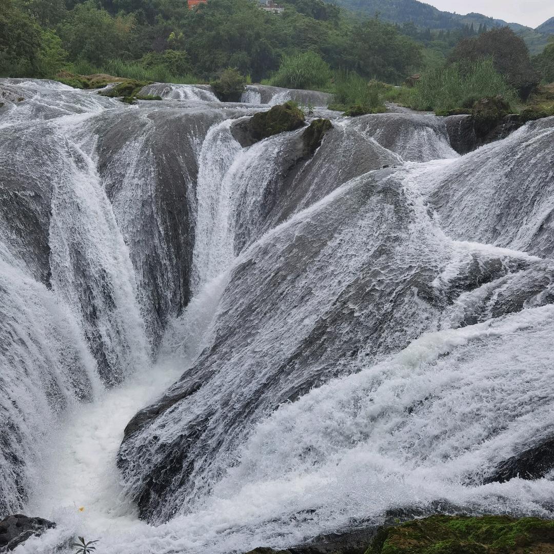 速度哥【豪横】
