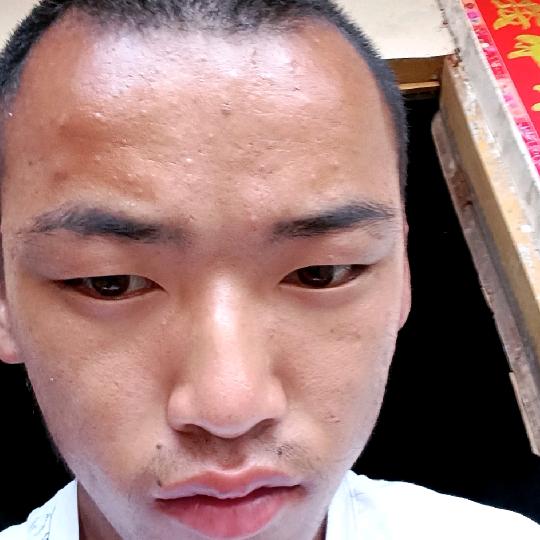 卿建