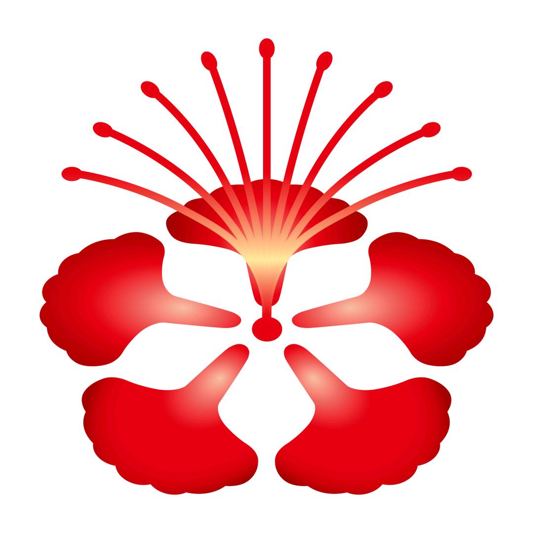 天津金凤花分选设备