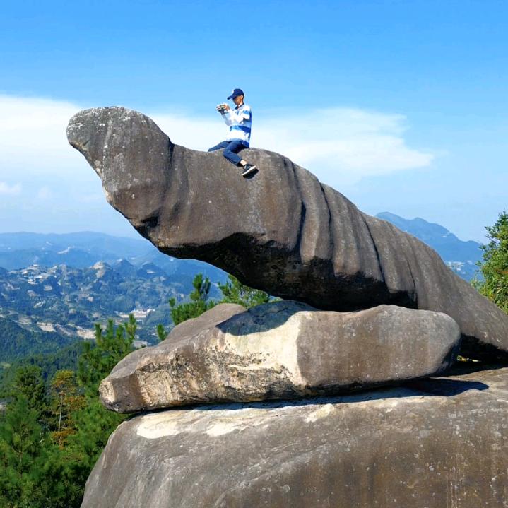 黄金叶，