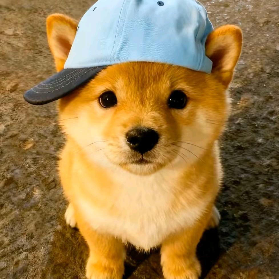 Www.