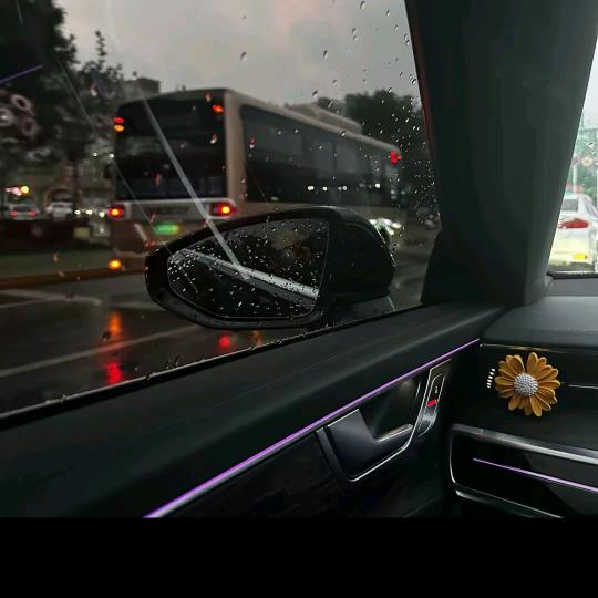 呆萌小叔