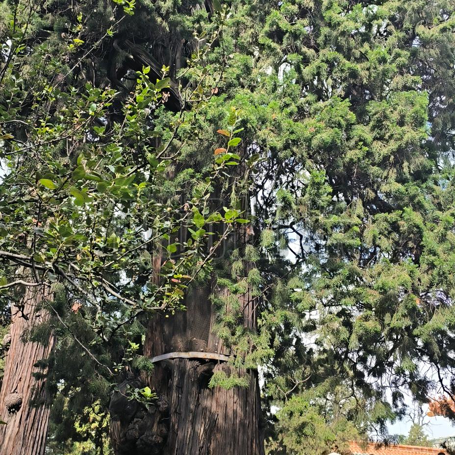 对自己好点