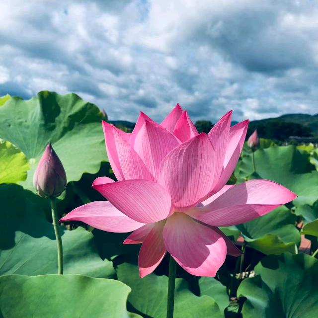 吸金小能手✔ :)