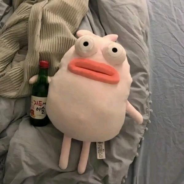 新加坡大白鹅