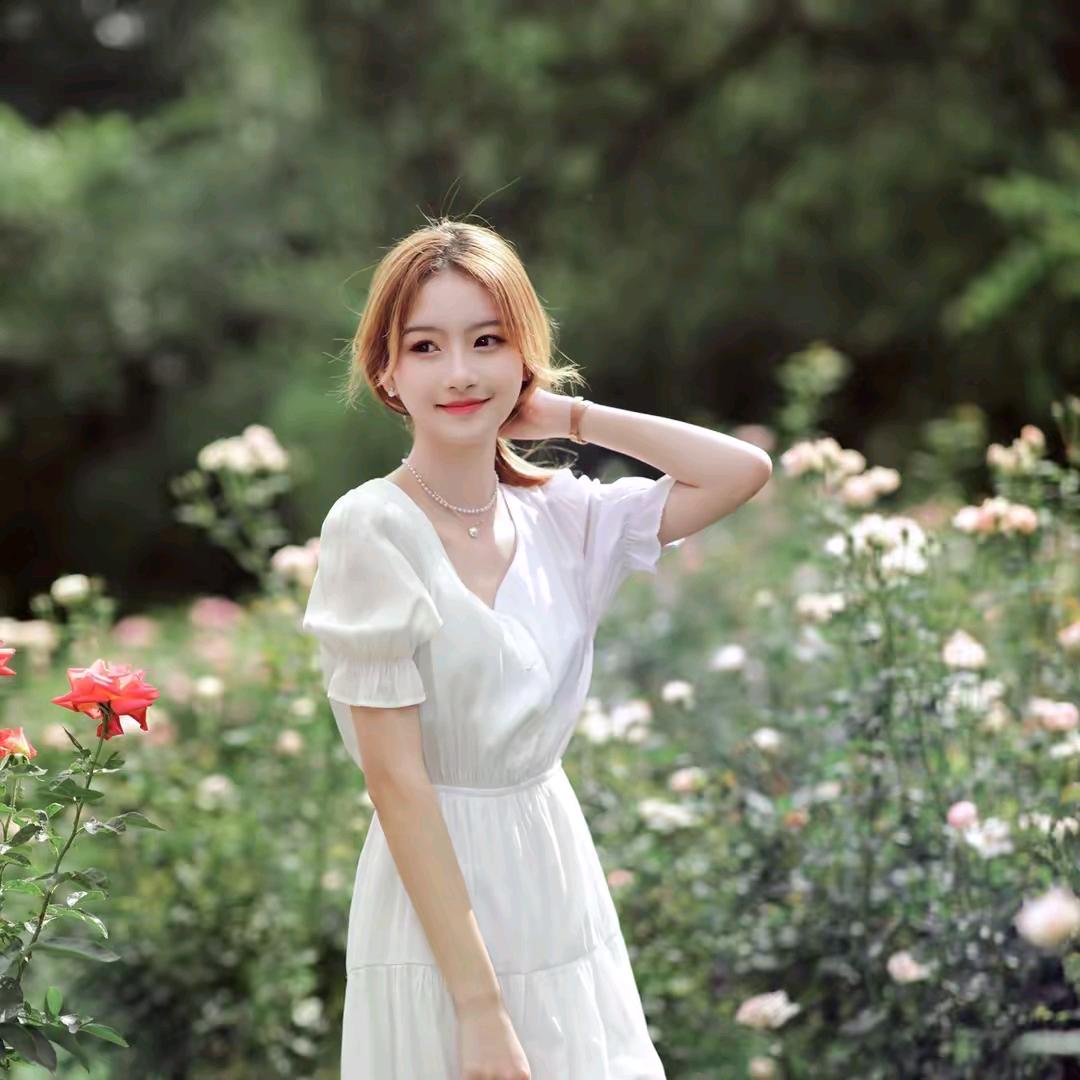 辉辉鸽 首播（早6:30）