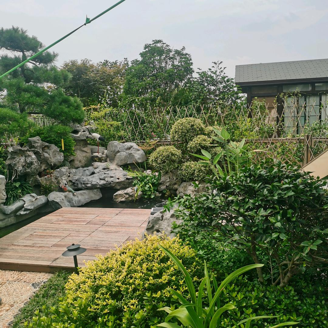 ୧(๑•̀⌄•́๑)૭✧必胜一(๑• .