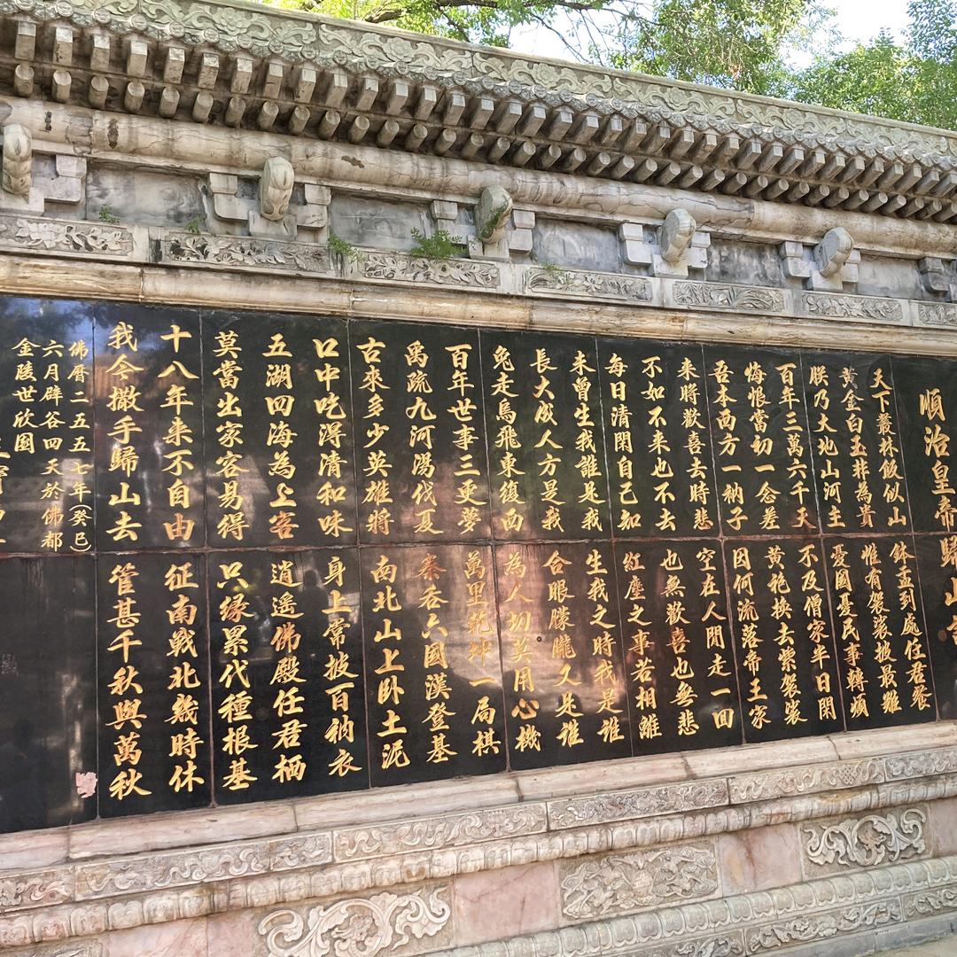 @zhuyingjie