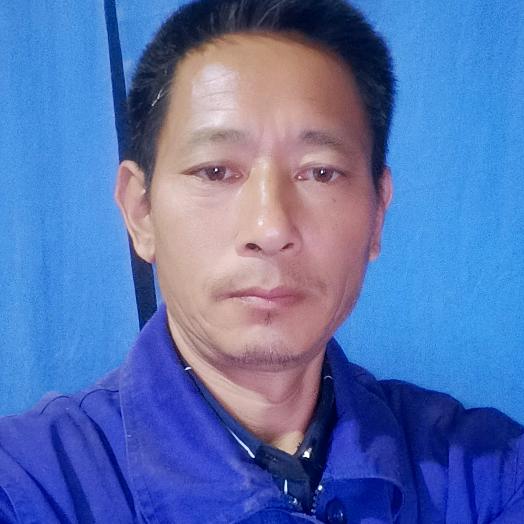 农村小杨
