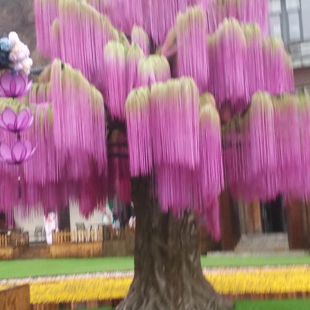 大眼妈妈和小眼儿子