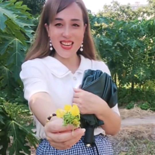 小雨《礼貌回❤️》