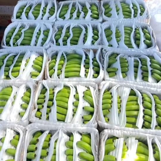 云之蕉邓民果业