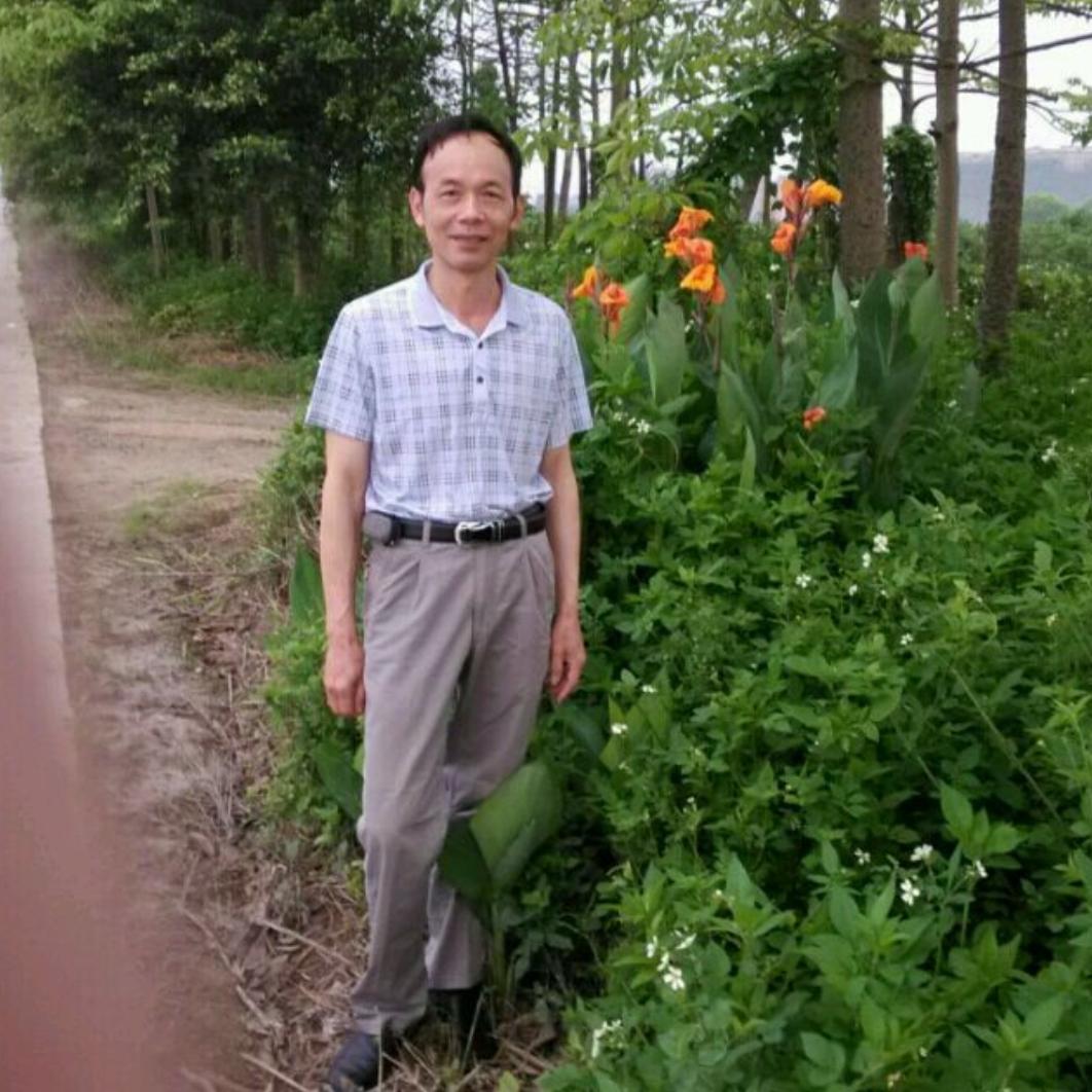 刘华-
