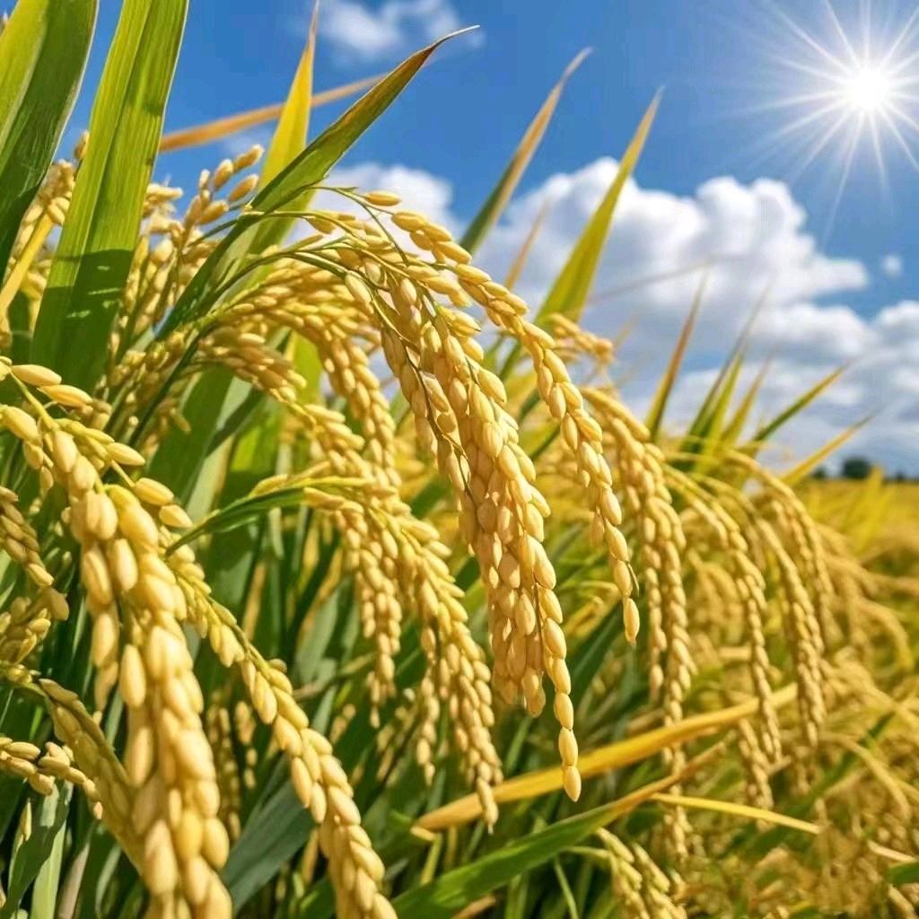 奥宸全屋定制加工厂