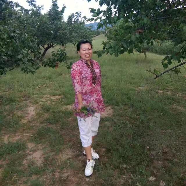 蔚县智威龙（陈姐）