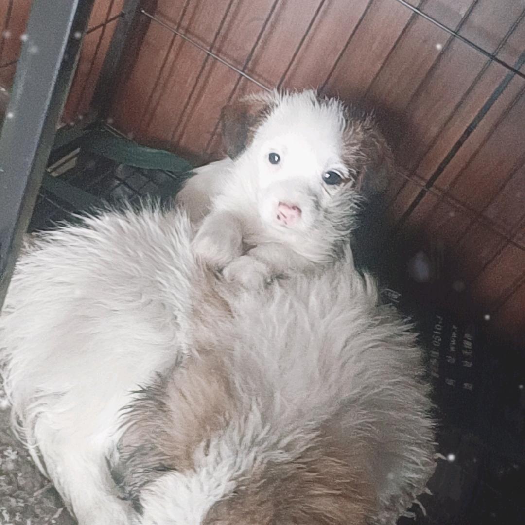 ❤ (ɔˆз(ˆ⌣ˆc)陈少