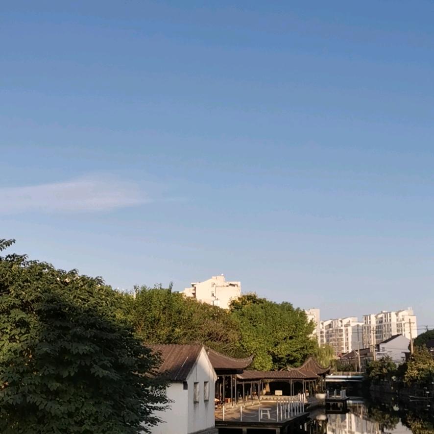 杨金良