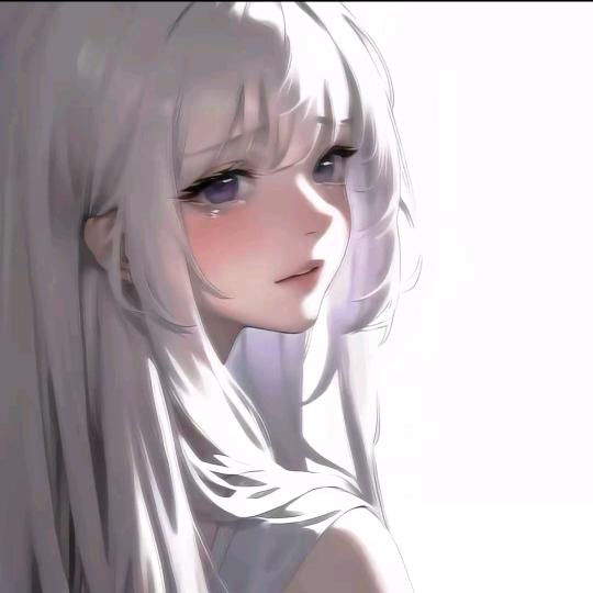 小马经营部