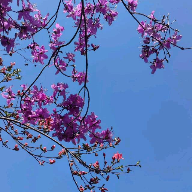 悦儿