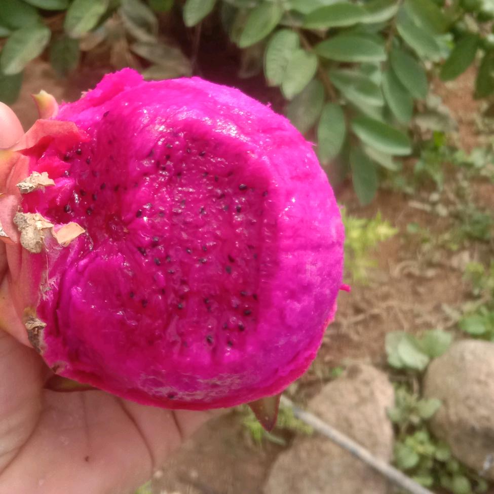 @ঞ ꦿ落 ໌້尘꧔ꦿ᭄